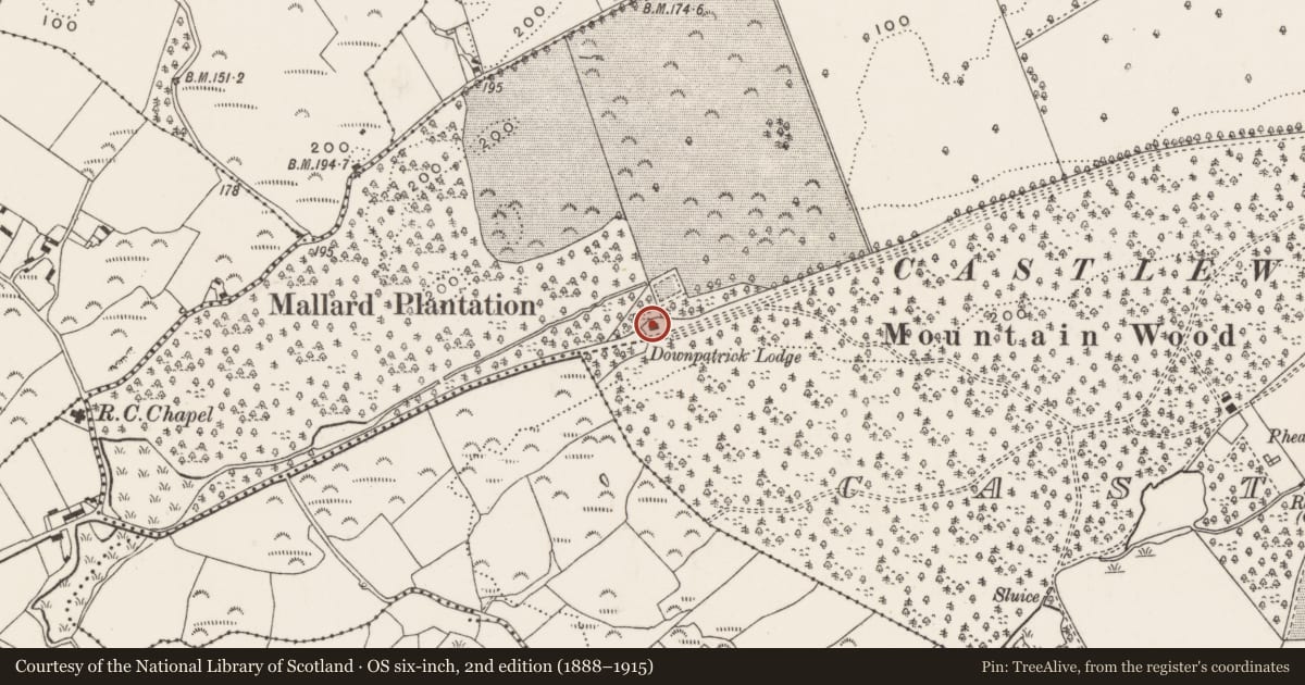 Ordnance Survey six-inch map, 2nd edition (1888–1915) covering the location of Downpatrick Lodge, Newry, Mourne and Down, with a pin at the register's coordinates