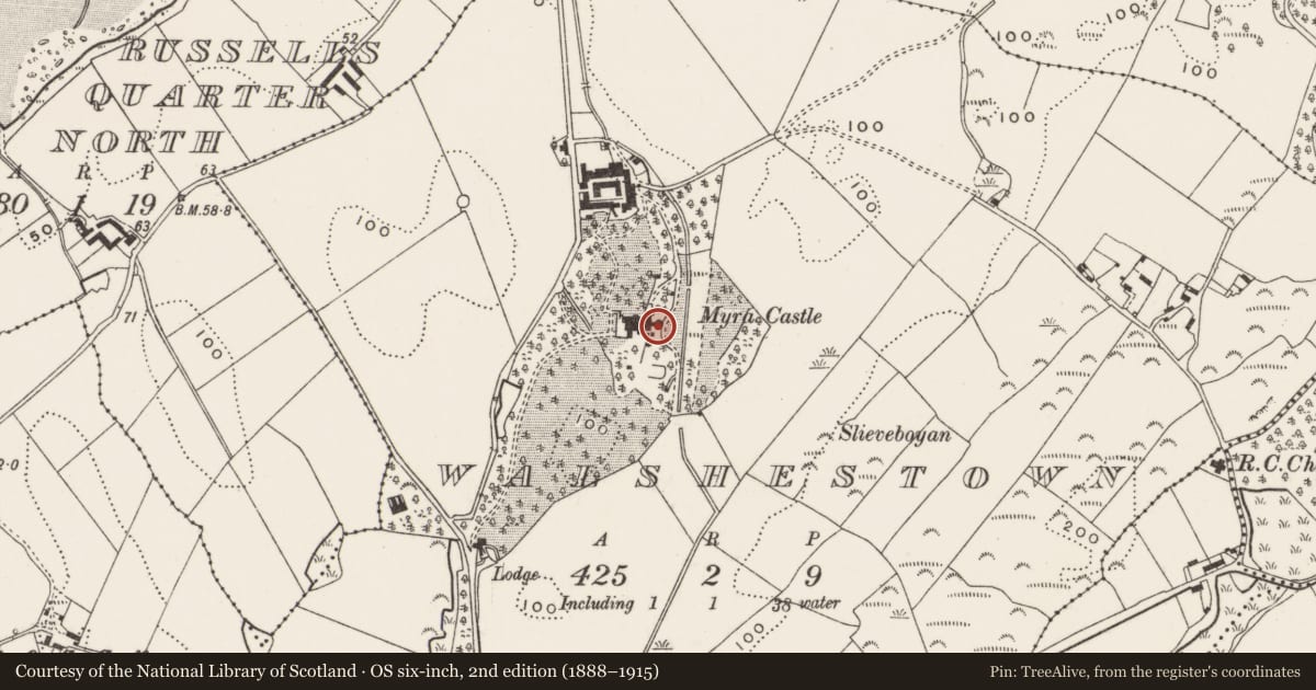 Ordnance Survey six-inch map, 2nd edition (1888–1915) covering the location of Meat safe, Walshestown, Newry, Mourne and Down, with a pin at the register's coordinates