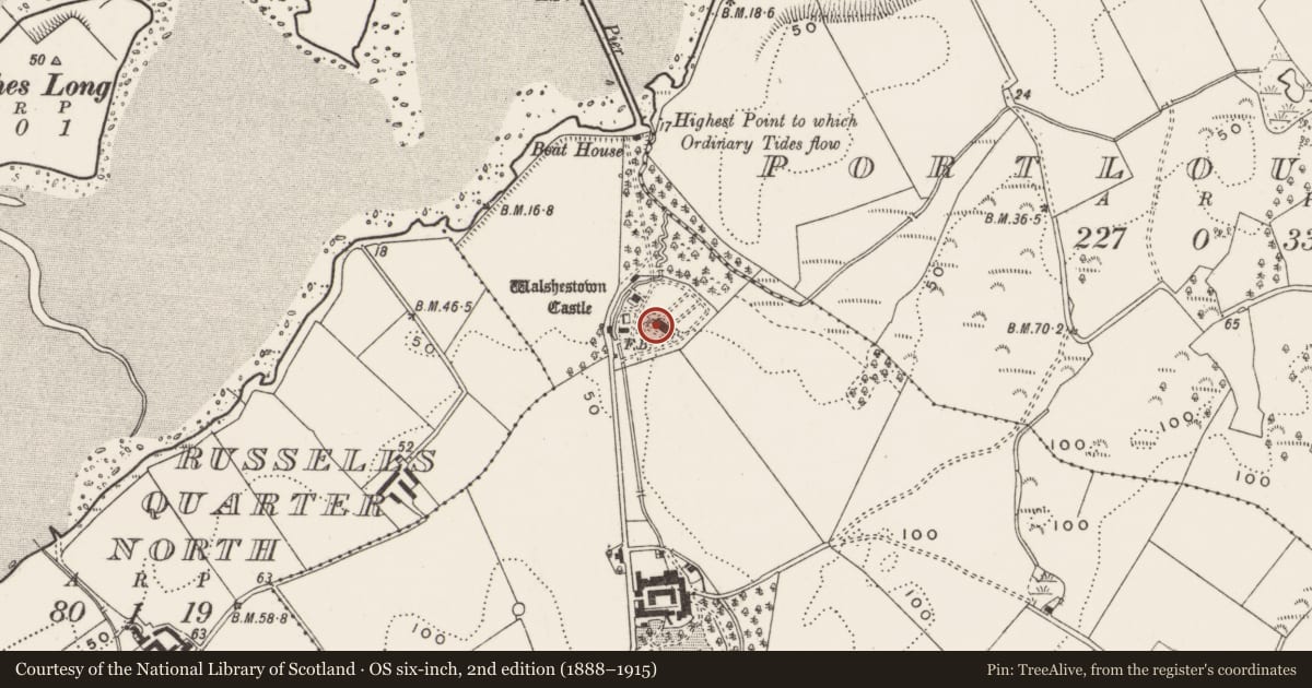 Ordnance Survey six-inch map, 2nd edition (1888–1915) covering the location of 60 Myra Road, Walshestown, Newry, Mourne and Down, with a pin at the register's coordinates