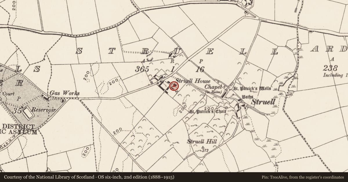 Ordnance Survey six-inch map, 2nd edition (1888–1915) covering the location of Struell House, Newry, Mourne and Down, with a pin at the register's coordinates