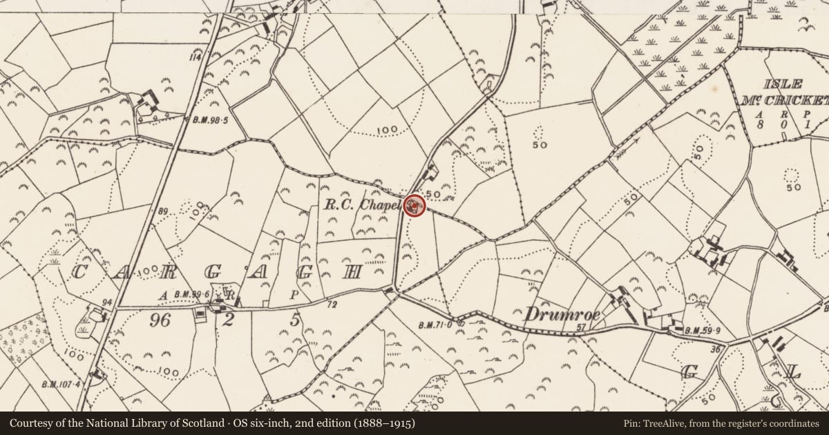 Ordnance Survey six-inch map, 2nd edition (1888–1915) covering the location of Cargagh Chapel, Newry, Mourne and Down, with a pin at the register's coordinates