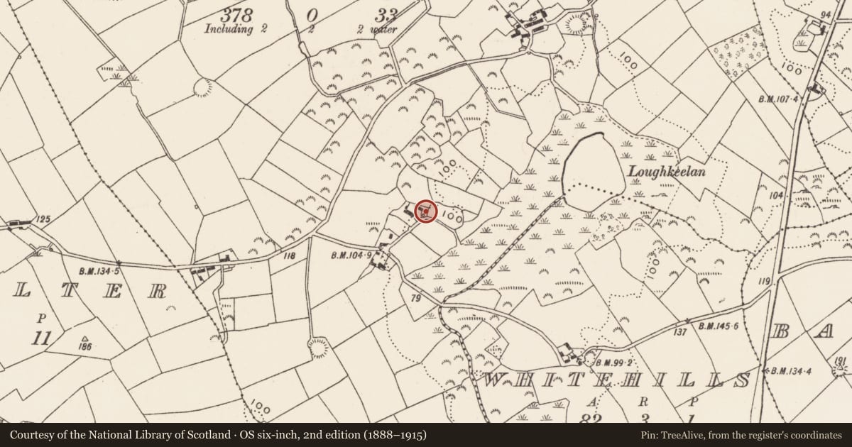 Ordnance Survey six-inch map, 2nd edition (1888–1915) covering the location of Corbelled Well-Head, Newry, Mourne and Down, with a pin at the register's coordinates