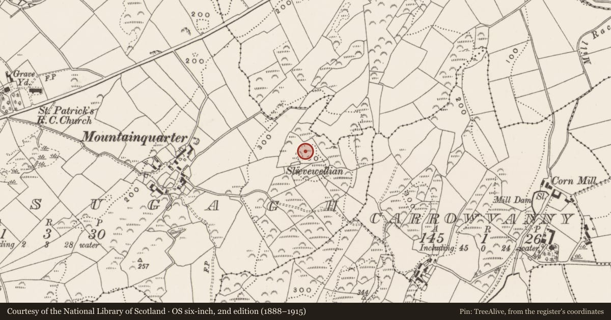 Ordnance Survey six-inch map, 2nd edition (1888–1915) covering the location of Statue Of St. Patrick On Slieve Patrick (Approached From St.patrick'S Road), Newry, Mourne and Down, with a pin at the register's coordinates