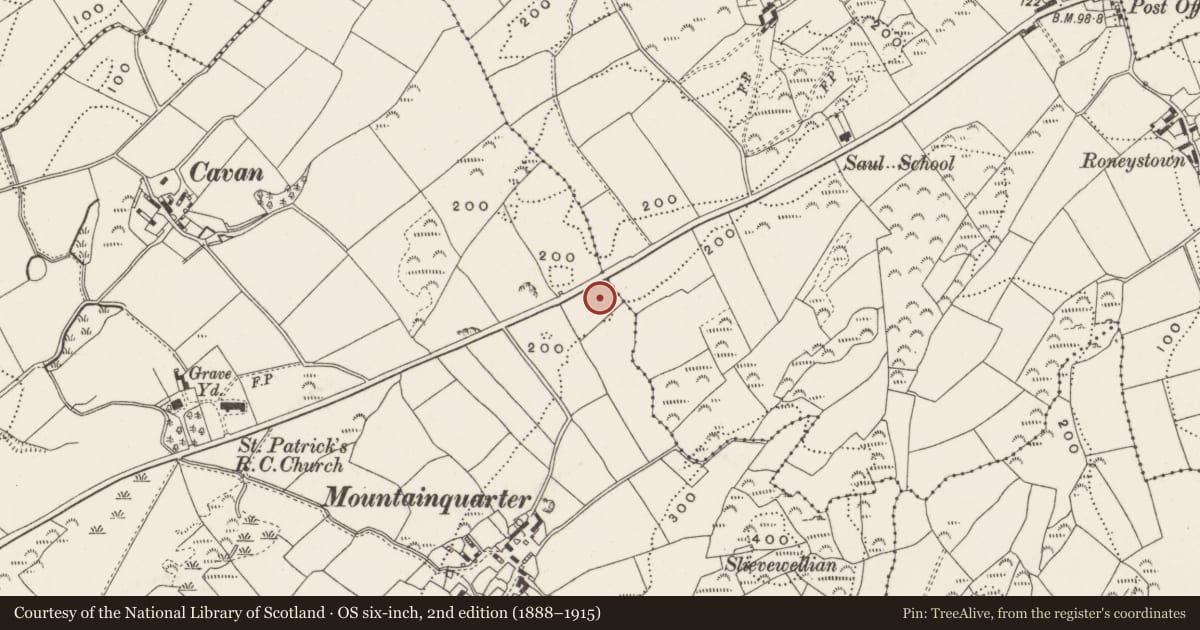 Ordnance Survey six-inch map, 2nd edition (1888–1915) covering the location of 23 St. Patrick'S Road, Newry, Mourne and Down, with a pin at the register's coordinates