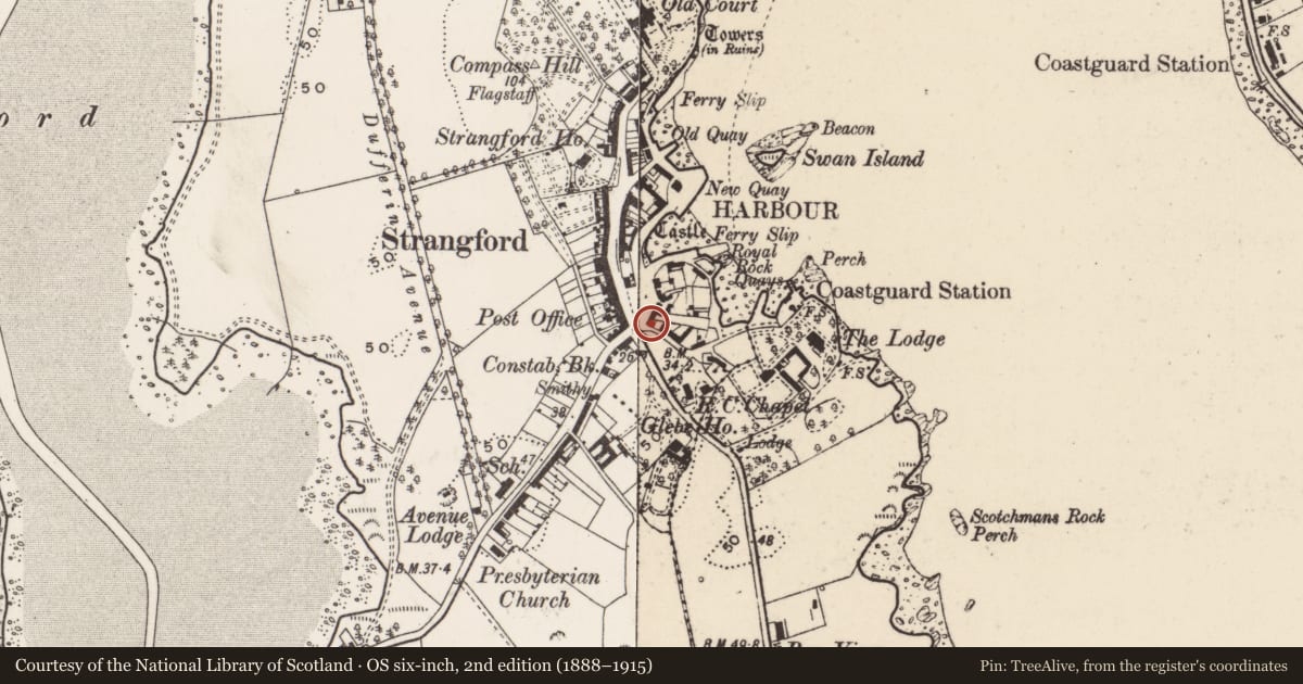 Ordnance Survey six-inch map, 2nd edition (1888–1915) covering the location of Garage, Strangford, Newry, Mourne and Down, with a pin at the register's coordinates