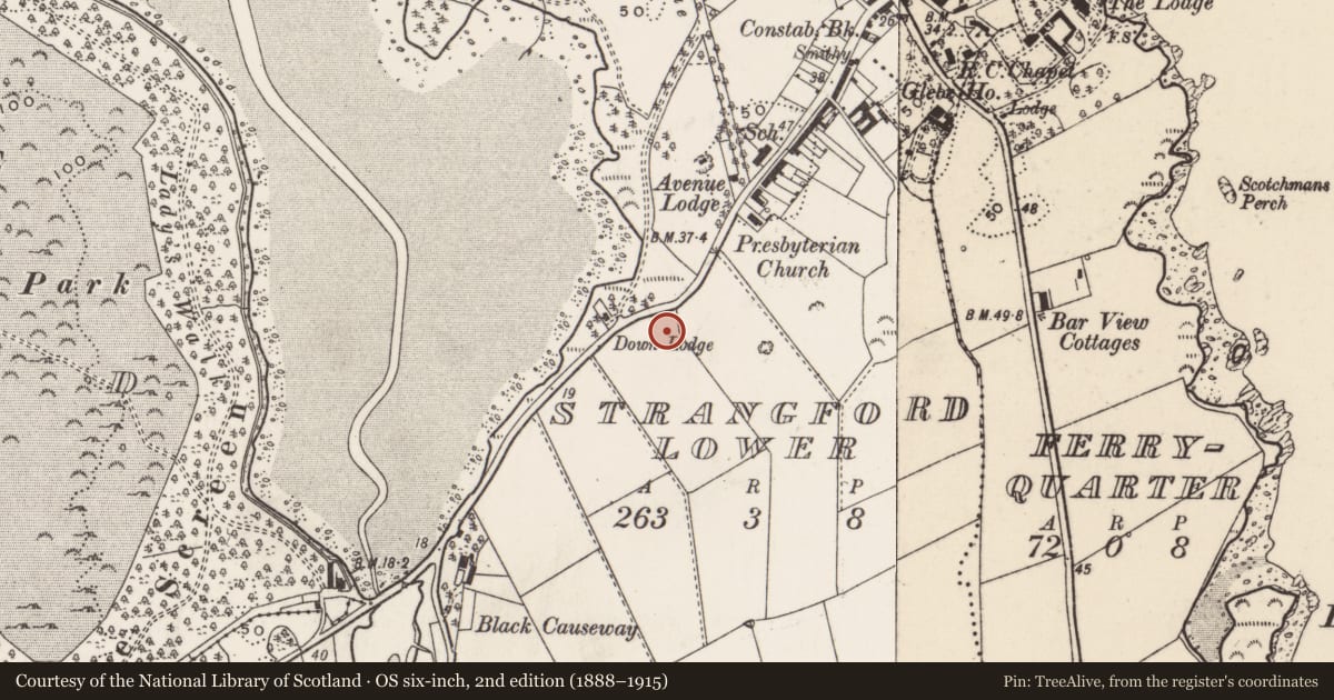 Ordnance Survey six-inch map, 2nd edition (1888–1915) covering the location of Potato store, Strangford Lower, Newry, Mourne and Down, with a pin at the register's coordinates