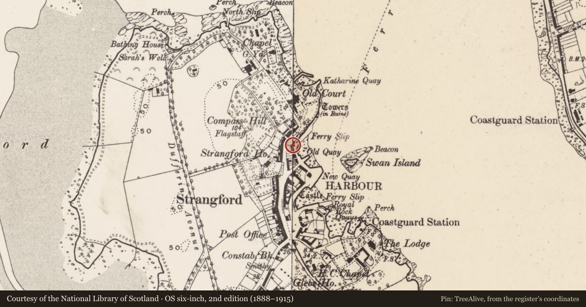 Ordnance Survey six-inch map, 2nd edition (1888–1915) covering the location of Pump, Strangford Lower, Newry, Mourne and Down, with a pin at the register's coordinates