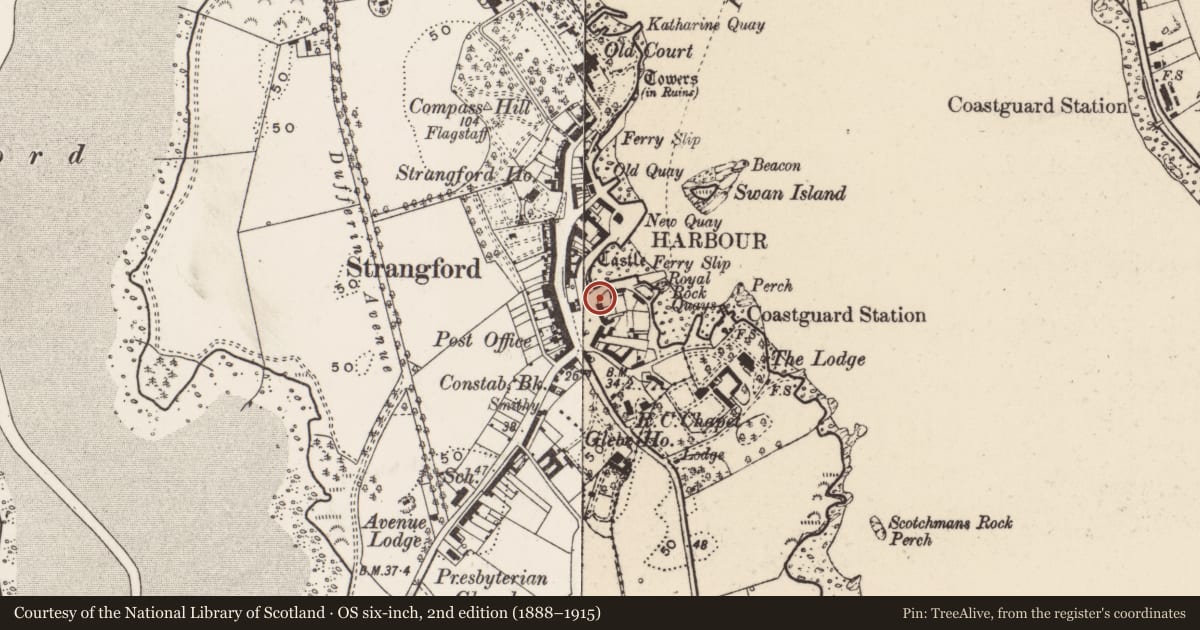 Ordnance Survey six-inch map, 2nd edition (1888–1915) covering the location of Fountain at the slip, Newry, Mourne and Down, with a pin at the register's coordinates