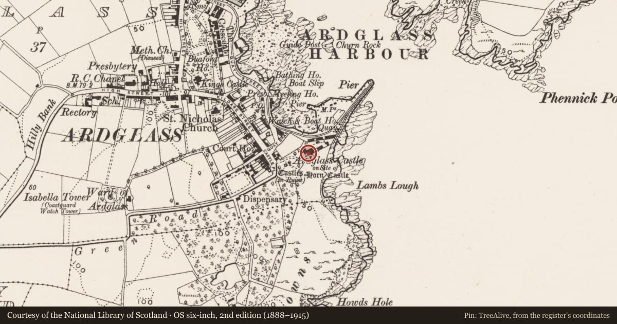 Ordnance Survey six-inch map, 2nd edition (1888–1915) covering the location of Ardglass Golf Club House, Newry, Mourne and Down, with a pin at the register's coordinates