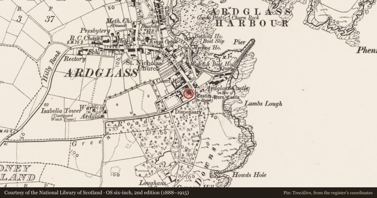 Ordnance Survey six-inch map, 2nd edition (1888–1915) covering the location of 9 Castle Place, Newry, Mourne and Down, with a pin at the register's coordinates