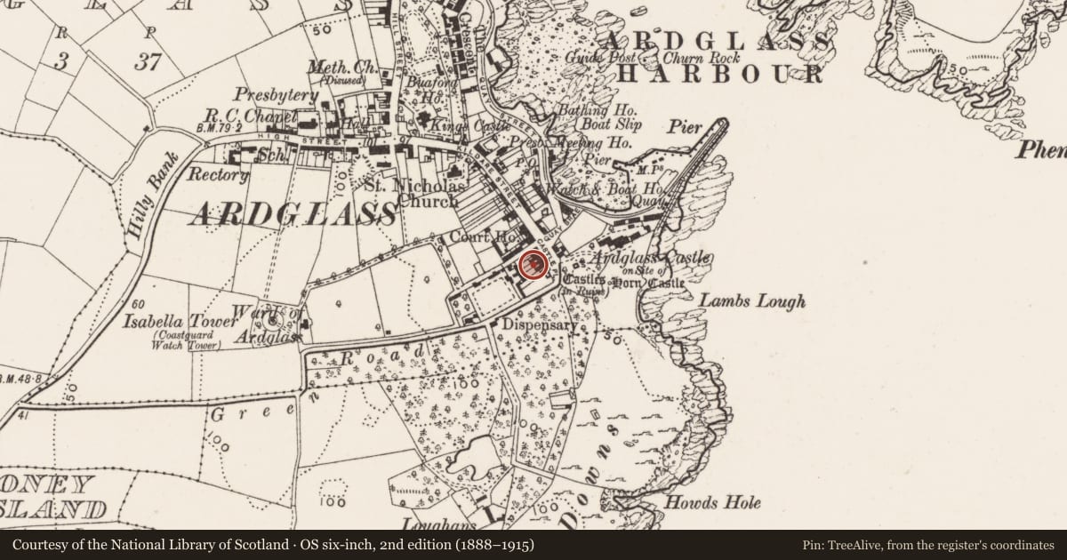 Ordnance Survey six-inch map, 2nd edition (1888–1915) covering the location of 5 Castle Place, Includes, Newry, Mourne and Down, with a pin at the register's coordinates
