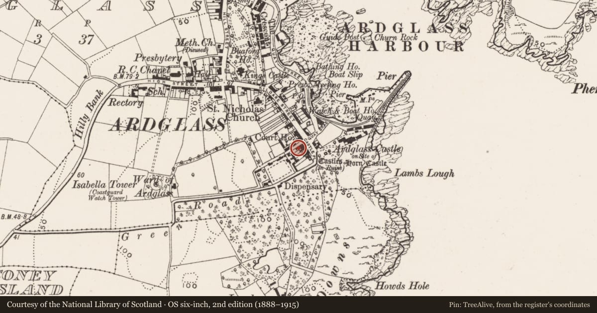 Ordnance Survey six-inch map, 2nd edition (1888–1915) covering the location of 1 Castle Place, Newry, Mourne and Down, with a pin at the register's coordinates