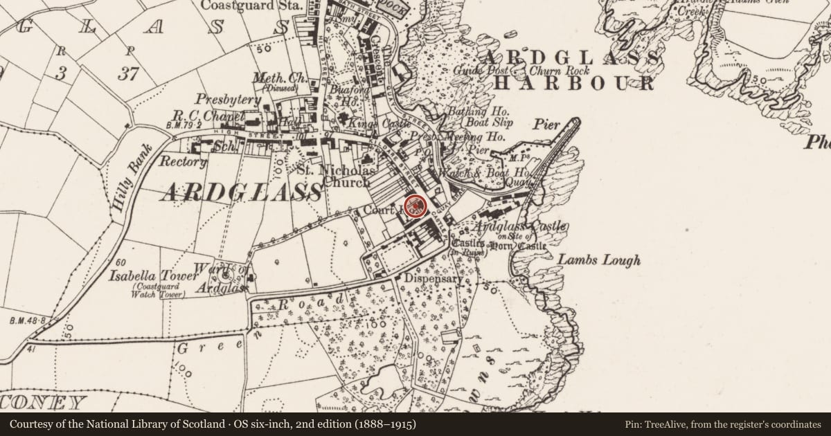 Ordnance Survey six-inch map, 2nd edition (1888–1915) covering the location of The Ardglass Arms, Newry, Mourne and Down, with a pin at the register's coordinates