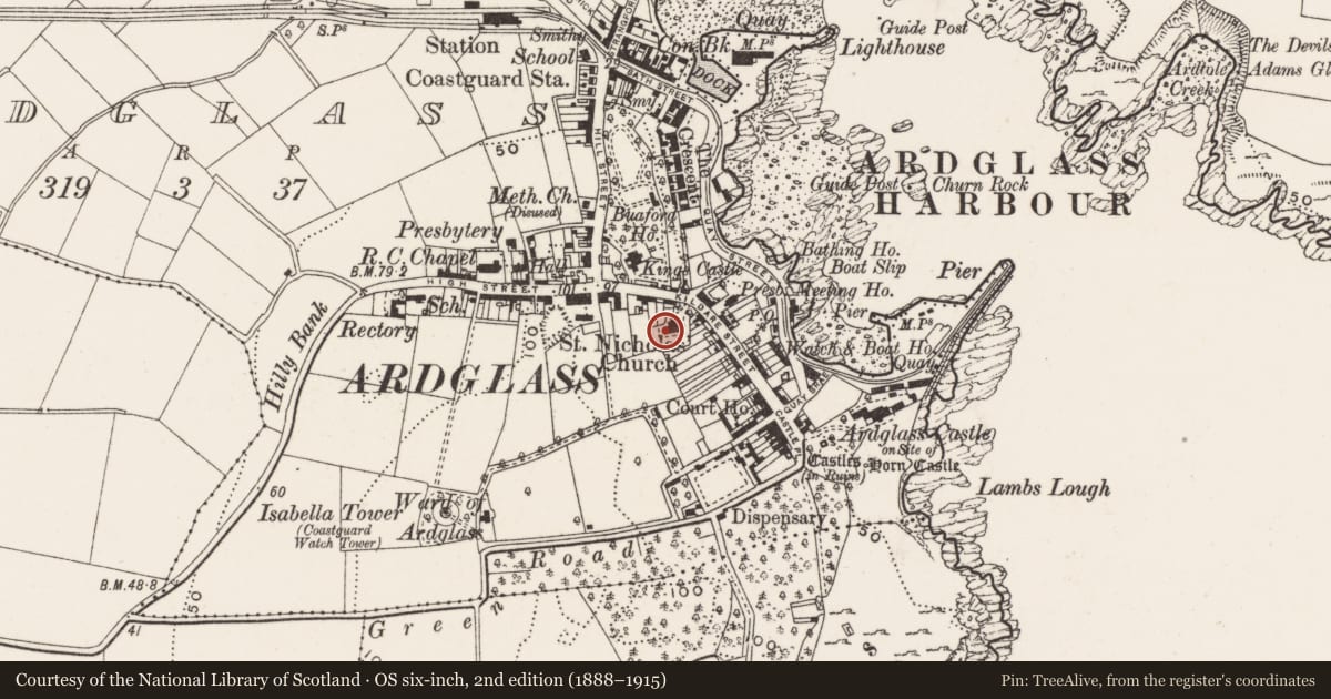 Ordnance Survey six-inch map, 2nd edition (1888–1915) covering the location of St. Nicholas' Parish Church, Newry, Mourne and Down, with a pin at the register's coordinates