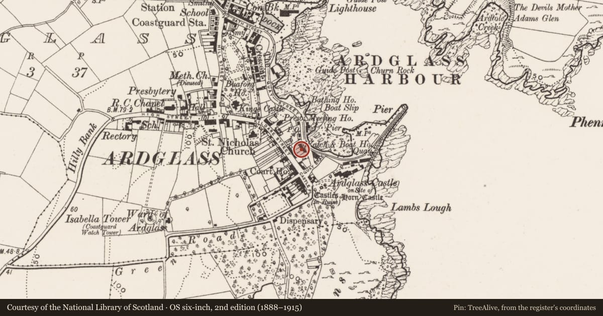 Ordnance Survey six-inch map, 2nd edition (1888–1915) covering the location of 4 Quay St., Newry, Mourne and Down, with a pin at the register's coordinates