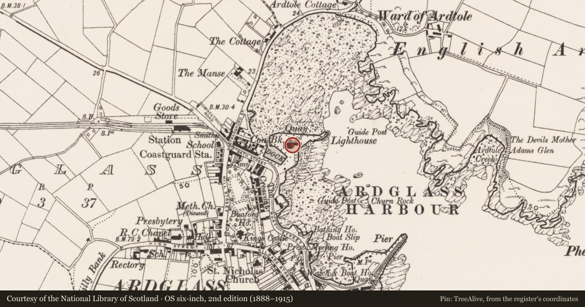 Ordnance Survey six-inch map, 2nd edition (1888–1915) covering the location of Harbour Warehouse, Newry, Mourne and Down, with a pin at the register's coordinates
