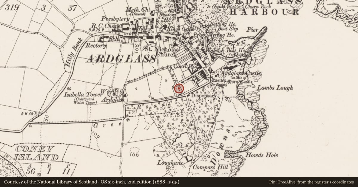 Ordnance Survey six-inch map, 2nd edition (1888–1915) covering the location of The Eye Of Ardglass, Newry, Mourne and Down, with a pin at the register's coordinates