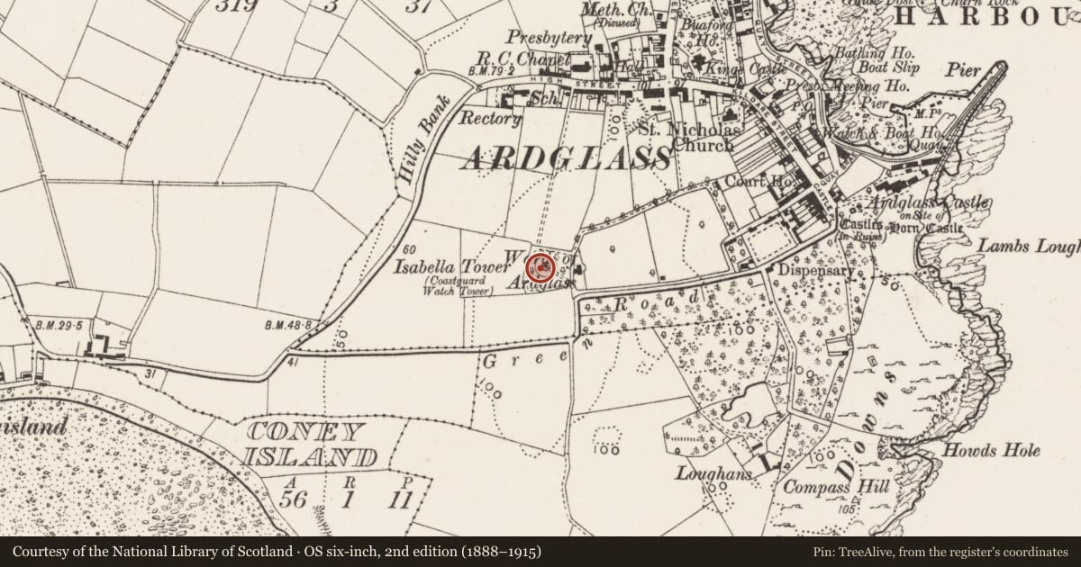 Ordnance Survey six-inch map, 2nd edition (1888–1915) covering the location of Isabella Tower, Newry, Mourne and Down, with a pin at the register's coordinates