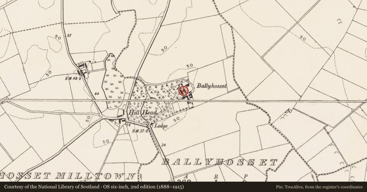 Ordnance Survey six-inch map, 2nd edition (1888–1915) covering the location of Ballyhosset House, Newry, Mourne and Down, with a pin at the register's coordinates