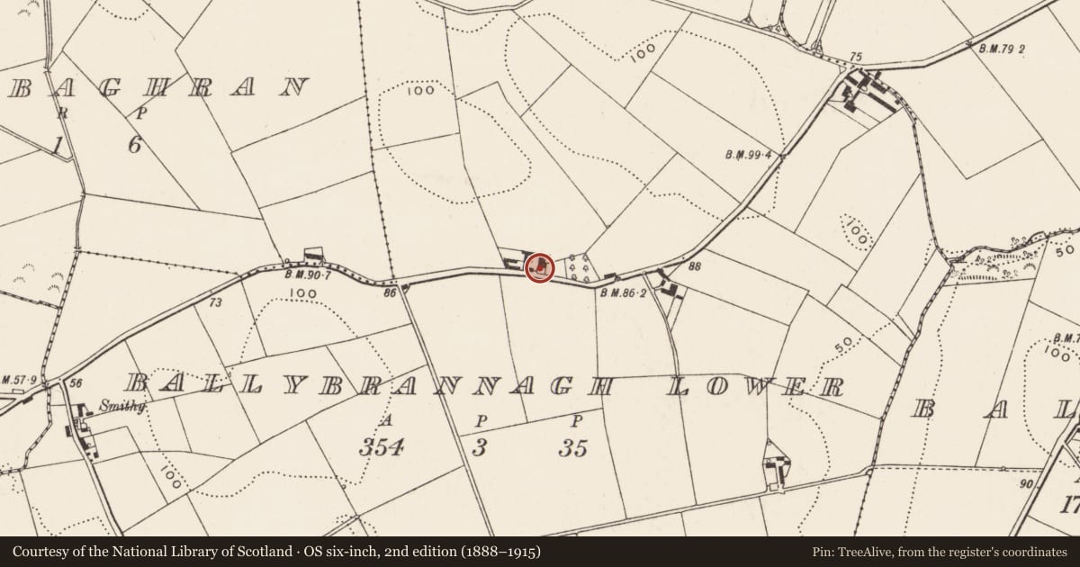 Ordnance Survey six-inch map, 2nd edition (1888–1915) covering the location of Thorn Lodge, Newry, Mourne and Down, with a pin at the register's coordinates
