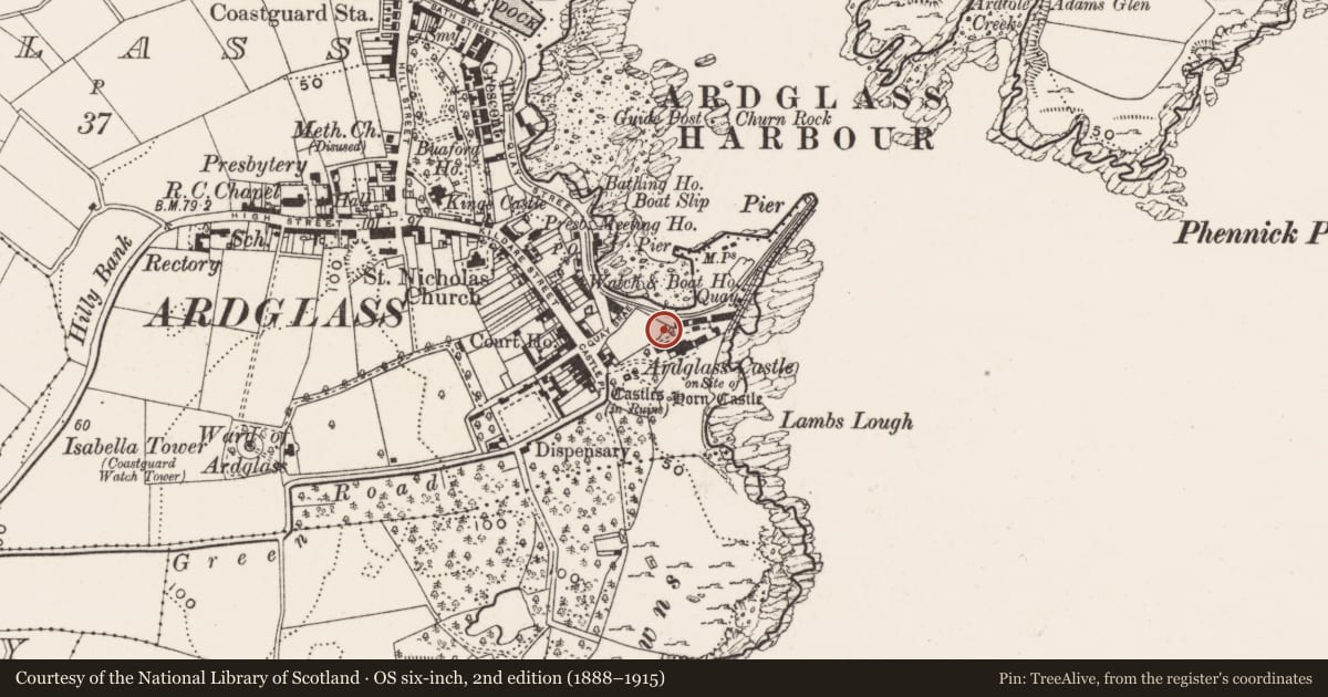 Ordnance Survey six-inch map, 2nd edition (1888–1915) covering the location of Shed at Ardglass Harbour, with a pin at the register's coordinates