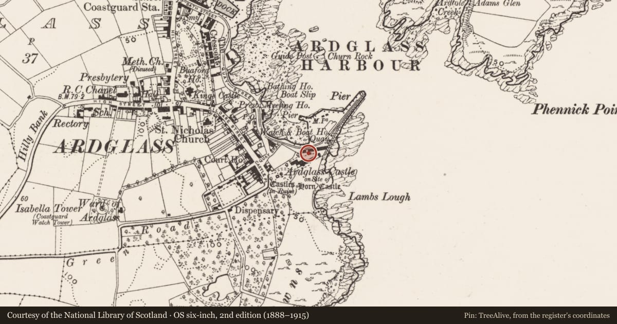 Ordnance Survey six-inch map, 2nd edition (1888–1915) covering the location of Larger shed at Harbour, Ardglass, Newry, Mourne and Down, with a pin at the register's coordinates