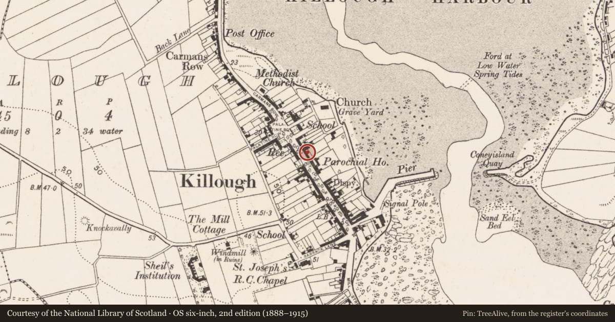 Ordnance Survey six-inch map, 2nd edition (1888–1915) covering the location of 12 Castle St., Newry, Mourne and Down, with a pin at the register's coordinates