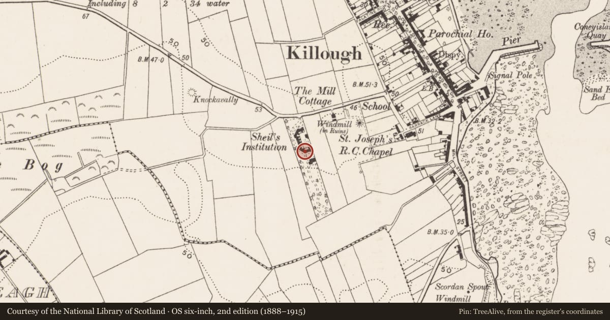 Ordnance Survey six-inch map, 2nd edition (1888–1915) covering the location of Shiel'S Institute, Newry, Mourne and Down, with a pin at the register's coordinates