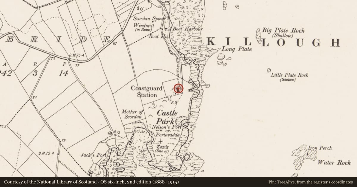 Ordnance Survey six-inch map, 2nd edition (1888–1915) covering the location of 1 Coastguard Cottages, Newry, Mourne and Down, with a pin at the register's coordinates