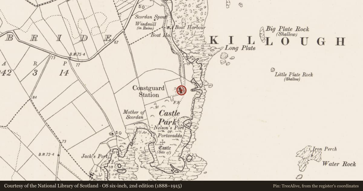 Ordnance Survey six-inch map, 2nd edition (1888–1915) covering the location of 2 Coastguard Cottages, Newry, Mourne and Down, with a pin at the register's coordinates