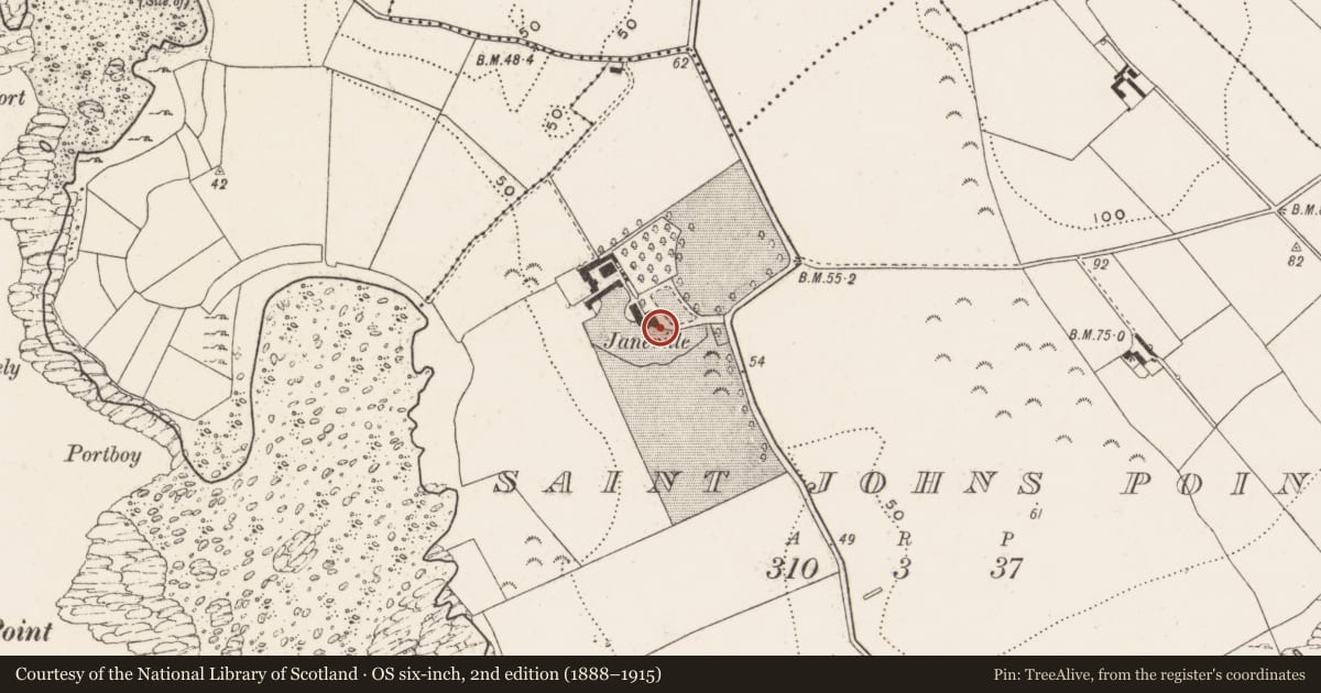 Ordnance Survey six-inch map, 2nd edition (1888–1915) covering the location of St. John'S House (Aka Janeville), Newry, Mourne and Down, with a pin at the register's coordinates