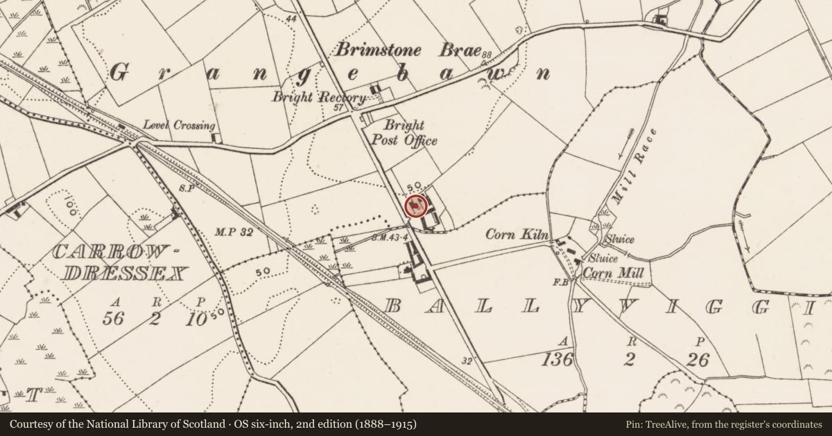 Ordnance Survey six-inch map, 2nd edition (1888–1915) covering the location of The Grange, Newry, Mourne and Down, with a pin at the register's coordinates