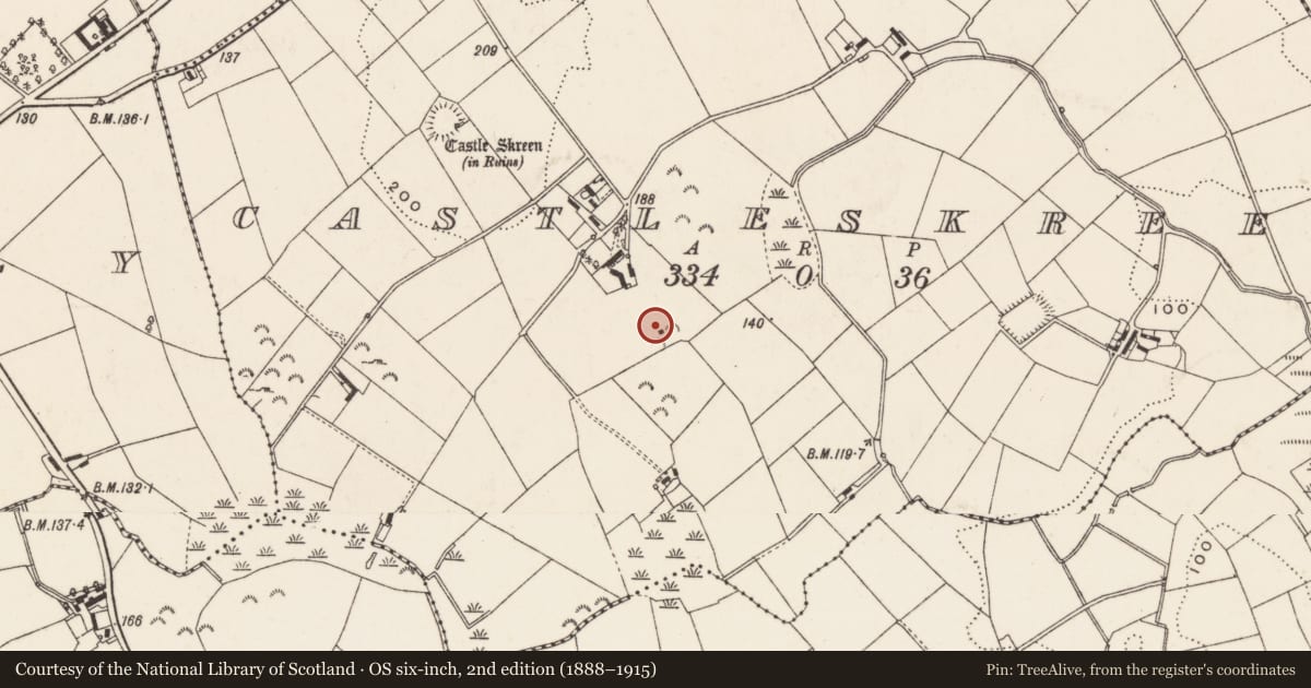 Ordnance Survey six-inch map, 2nd edition (1888–1915) covering the location of Pigeon House At Castlescreen, Newry, Mourne and Down, with a pin at the register's coordinates