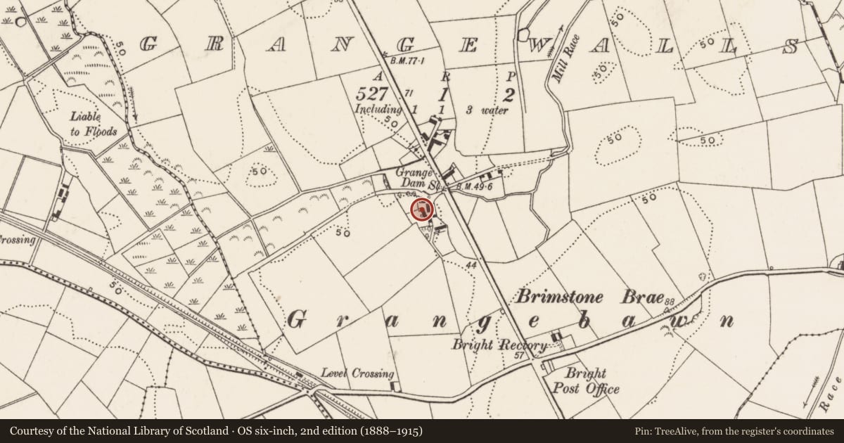 Ordnance Survey six-inch map, 2nd edition (1888–1915) covering the location of Pig Crew, Newry, Mourne and Down, with a pin at the register's coordinates
