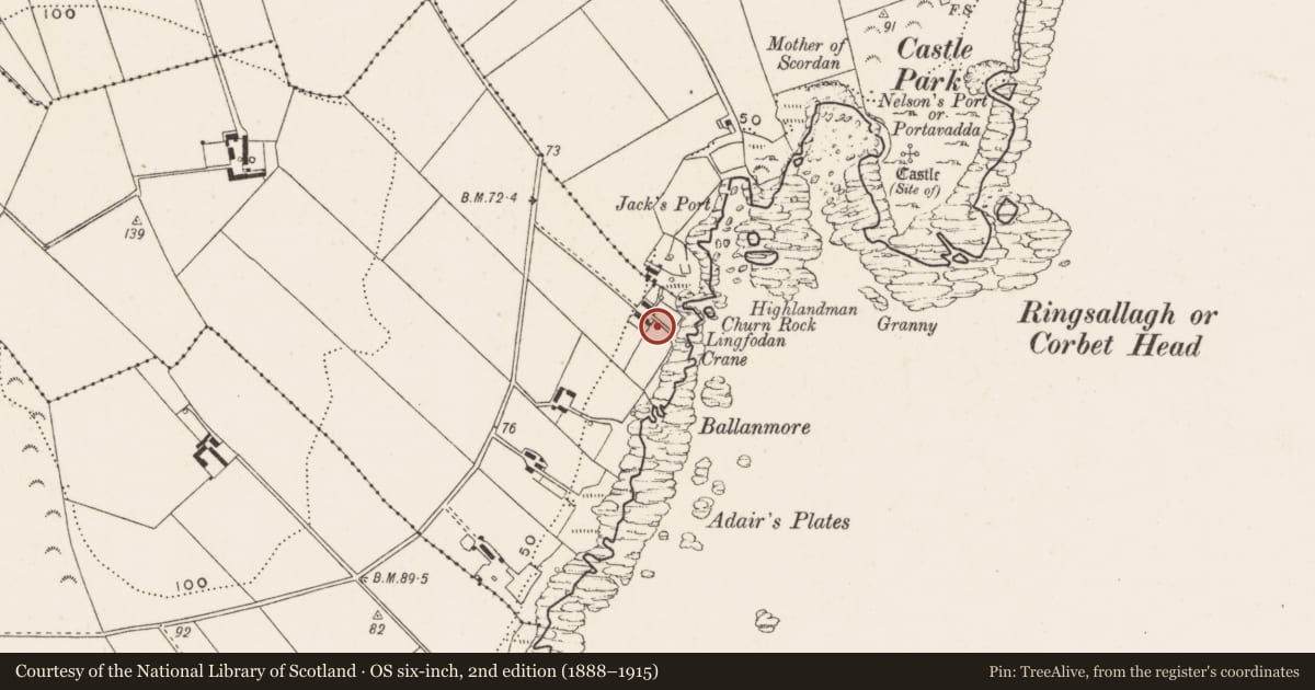 Ordnance Survey six-inch map, 2nd edition (1888–1915) covering the location of Pig Crew, Newry, Mourne and Down, with a pin at the register's coordinates