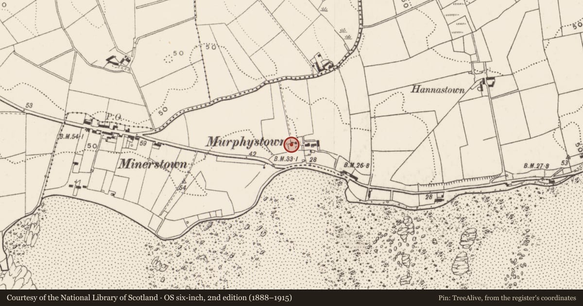 Ordnance Survey six-inch map, 2nd edition (1888–1915) covering the location of Pig Crew At Minerstown, Newry, Mourne and Down, with a pin at the register's coordinates