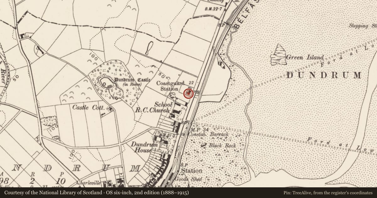 Ordnance Survey six-inch map, 2nd edition (1888–1915) covering the location of 13 Main St., Newry, Mourne and Down, with a pin at the register's coordinates