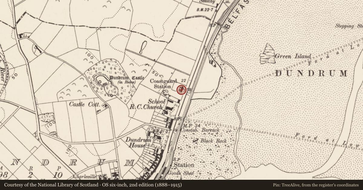 Ordnance Survey six-inch map, 2nd edition (1888–1915) covering the location of 11 Main St., Newry, Mourne and Down, with a pin at the register's coordinates