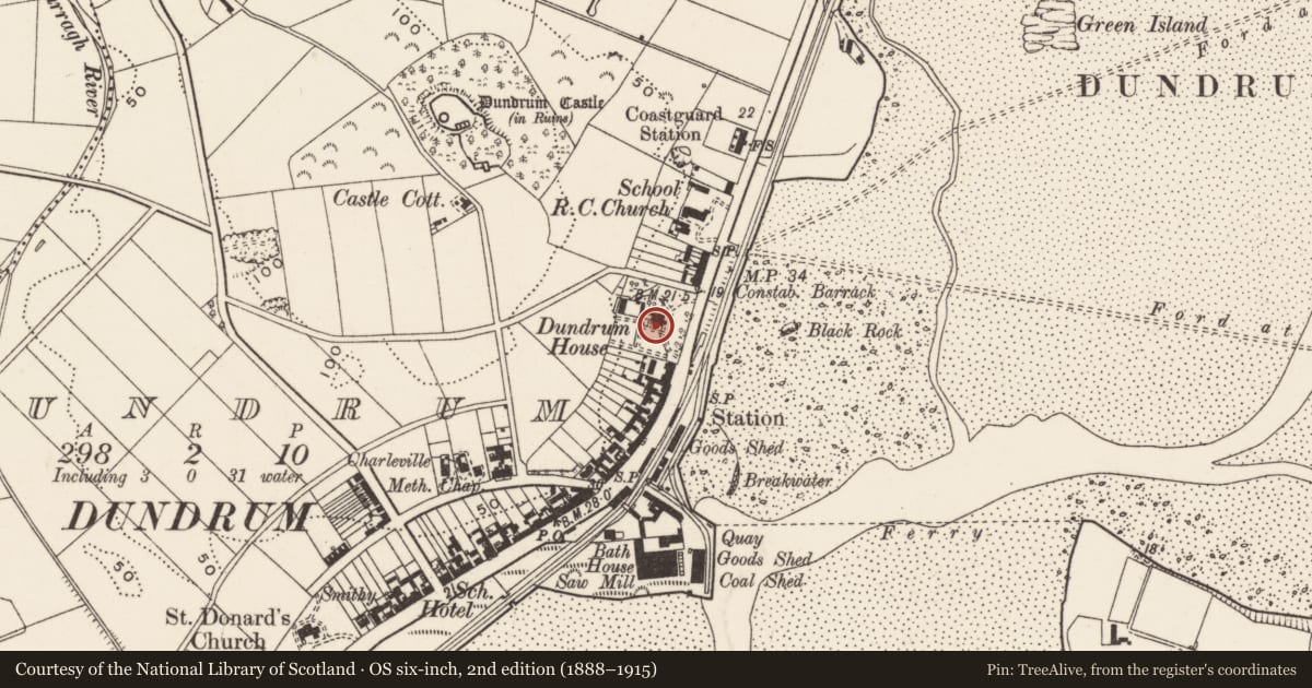 Ordnance Survey six-inch map, 2nd edition (1888–1915) covering the location of Dundrum House, Newry, Mourne and Down, with a pin at the register's coordinates