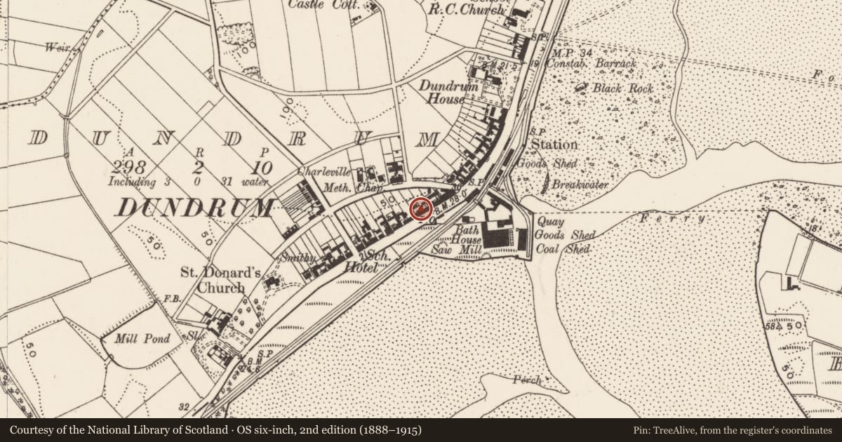 Ordnance Survey six-inch map, 2nd edition (1888–1915) covering the location of 119 Main St., Newry, Mourne and Down, with a pin at the register's coordinates