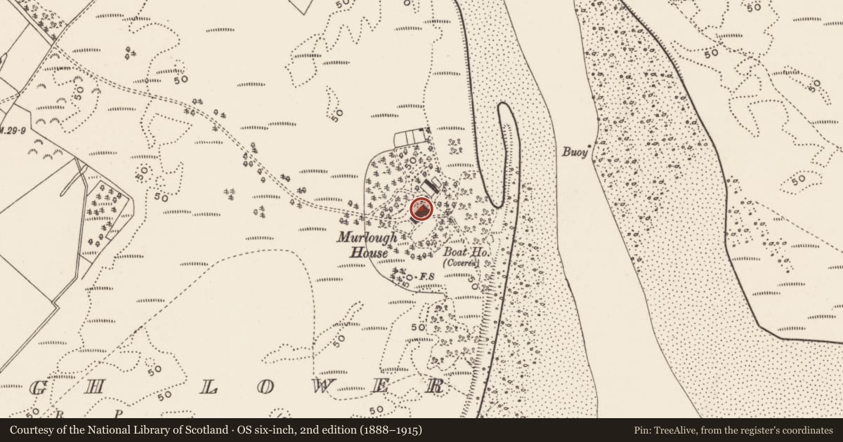 Ordnance Survey six-inch map, 2nd edition (1888–1915) covering the location of Murlough House, Newry, Mourne and Down, with a pin at the register's coordinates