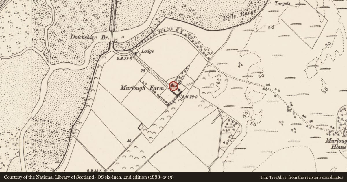 Ordnance Survey six-inch map, 2nd edition (1888–1915) covering the location of Murlough Farm, Newry, Mourne and Down, with a pin at the register's coordinates