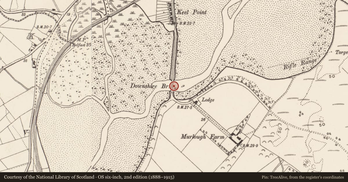 Ordnance Survey six-inch map, 2nd edition (1888–1915) covering the location of Downshire Bridge, Newry, Mourne and Down, with a pin at the register's coordinates