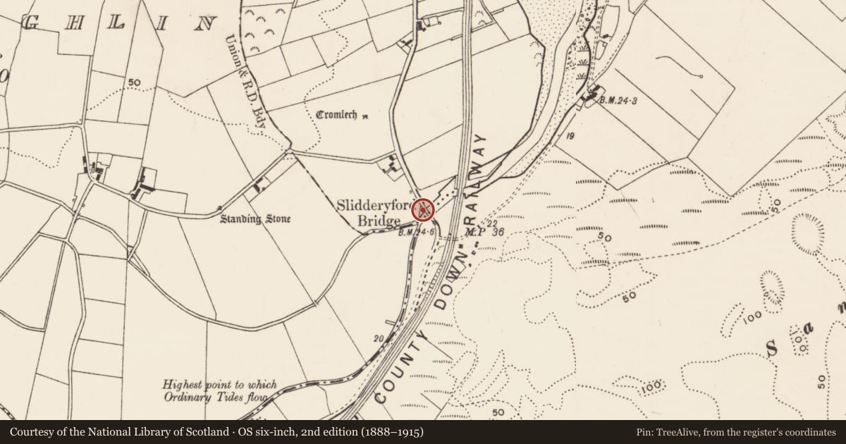 Ordnance Survey six-inch map, 2nd edition (1888–1915) covering the location of Slidderyford Bridge (The Twelve Arches), Newry, Mourne and Down, with a pin at the register's coordinates