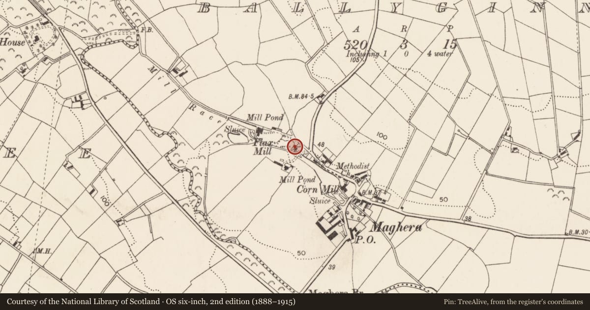 Ordnance Survey six-inch map, 2nd edition (1888–1915) covering the location of Flax Mill, Newry, Mourne and Down, with a pin at the register's coordinates