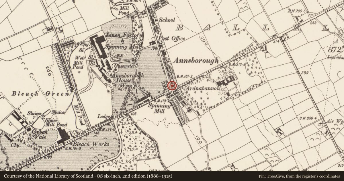Ordnance Survey six-inch map, 2nd edition (1888–1915) covering the location of 1 Ballylough Road, Newry, Mourne and Down, with a pin at the register's coordinates