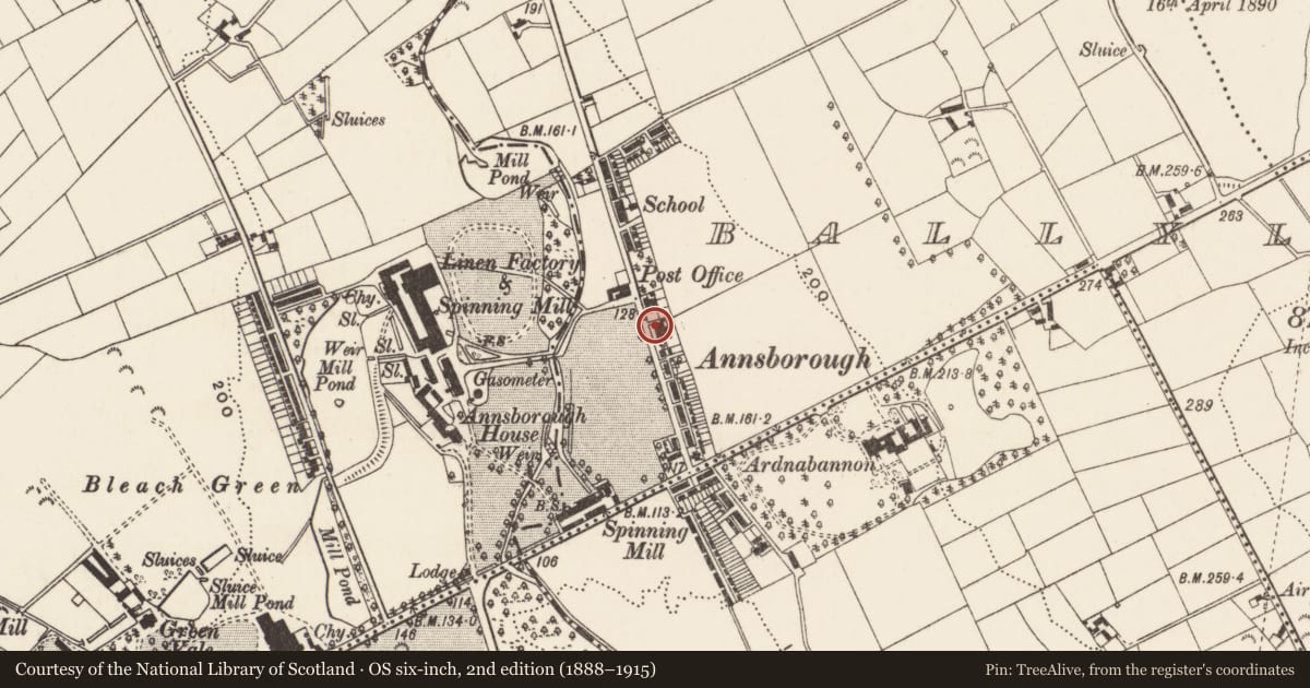Ordnance Survey six-inch map, 2nd edition (1888–1915) covering the location of 37 Ballylough Road, Newry, Mourne and Down, with a pin at the register's coordinates