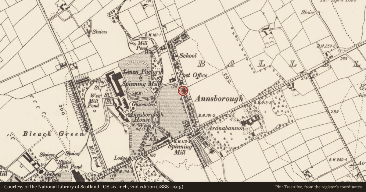 Ordnance Survey six-inch map, 2nd edition (1888–1915) covering the location of 35 Ballylough Road, Newry, Mourne and Down, with a pin at the register's coordinates