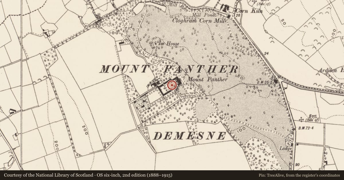 Ordnance Survey six-inch map, 2nd edition (1888–1915) covering the location of Mount Panther, Newry, Mourne and Down, with a pin at the register's coordinates