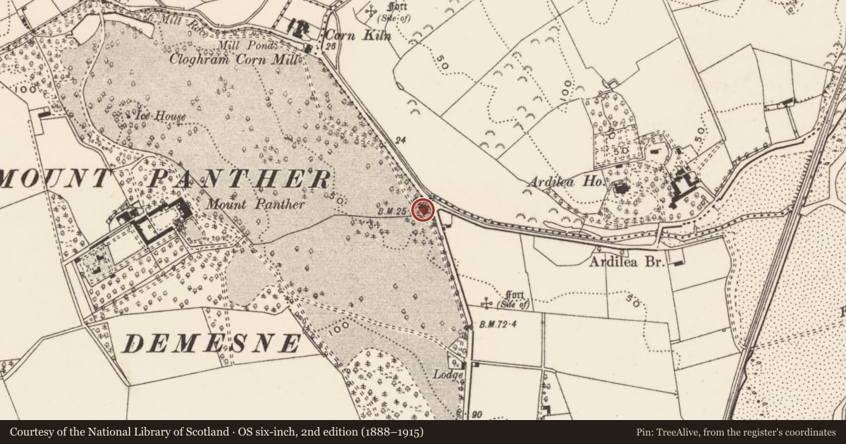 Ordnance Survey six-inch map, 2nd edition (1888–1915) covering the location of Old School House, Newry, Mourne and Down, with a pin at the register's coordinates